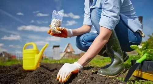 歐洲協(xié)會(huì)：可堆肥降解塑料對(duì)土壤健康有5大好處