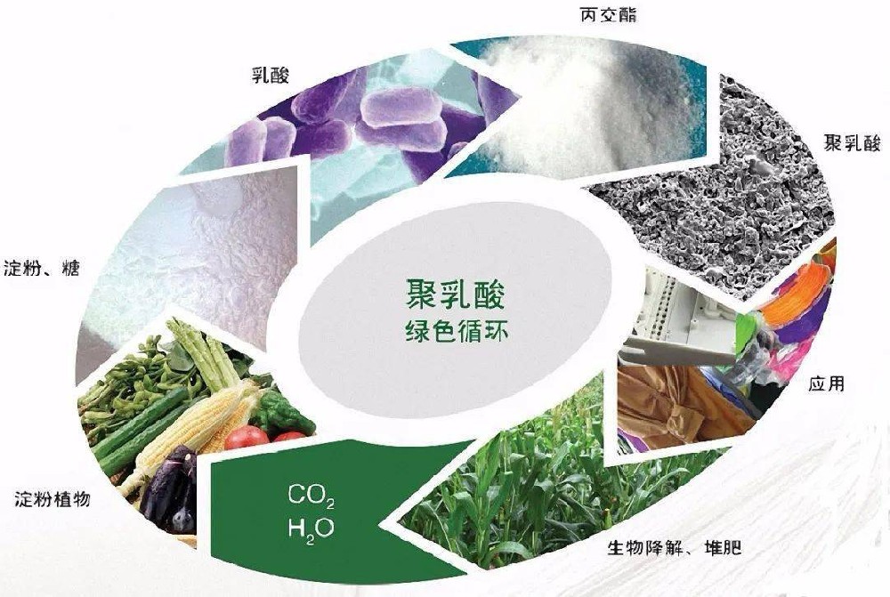 投資10億！浙江建設聚乳酸(PLA)濕巾等項目